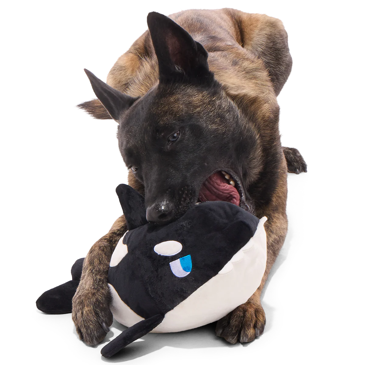 Whale Woofing Plush Extra-Large Tug Dog Toy