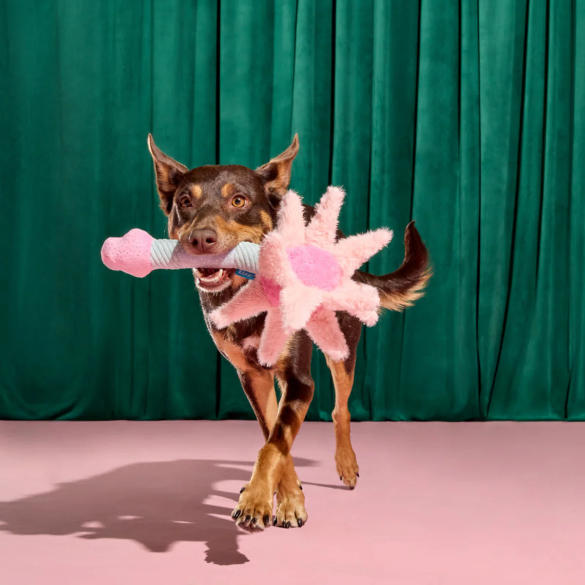 Glinda's Good Wand Plush Tug Dog Toy - Image 3