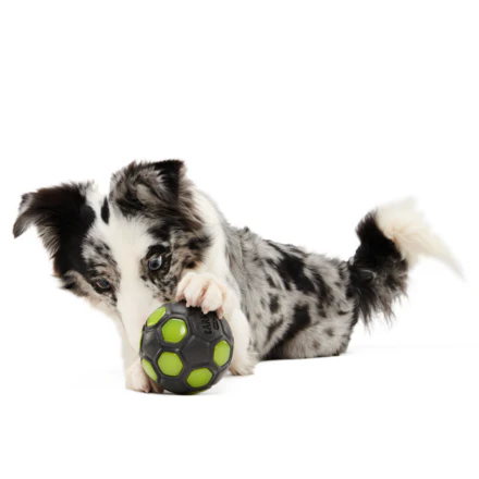 World Pup Snacker Ball Durable Super Chewer Enrichment + Fetch Dog Toy - Image 2