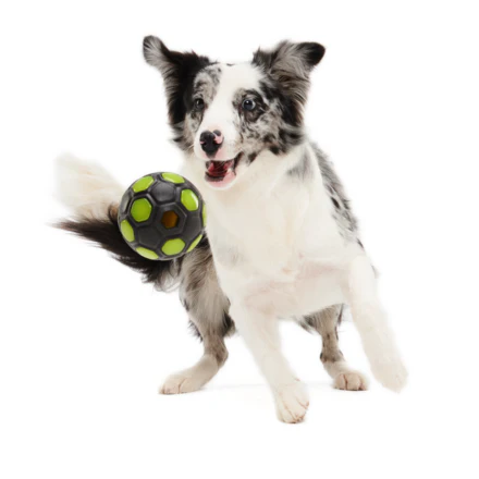 World Pup Snacker Ball Durable Super Chewer Enrichment + Fetch Dog Toy - Image 3