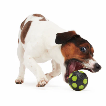 World Pup Snacker Ball Durable Super Chewer Enrichment + Fetch Dog Toy - Image 4