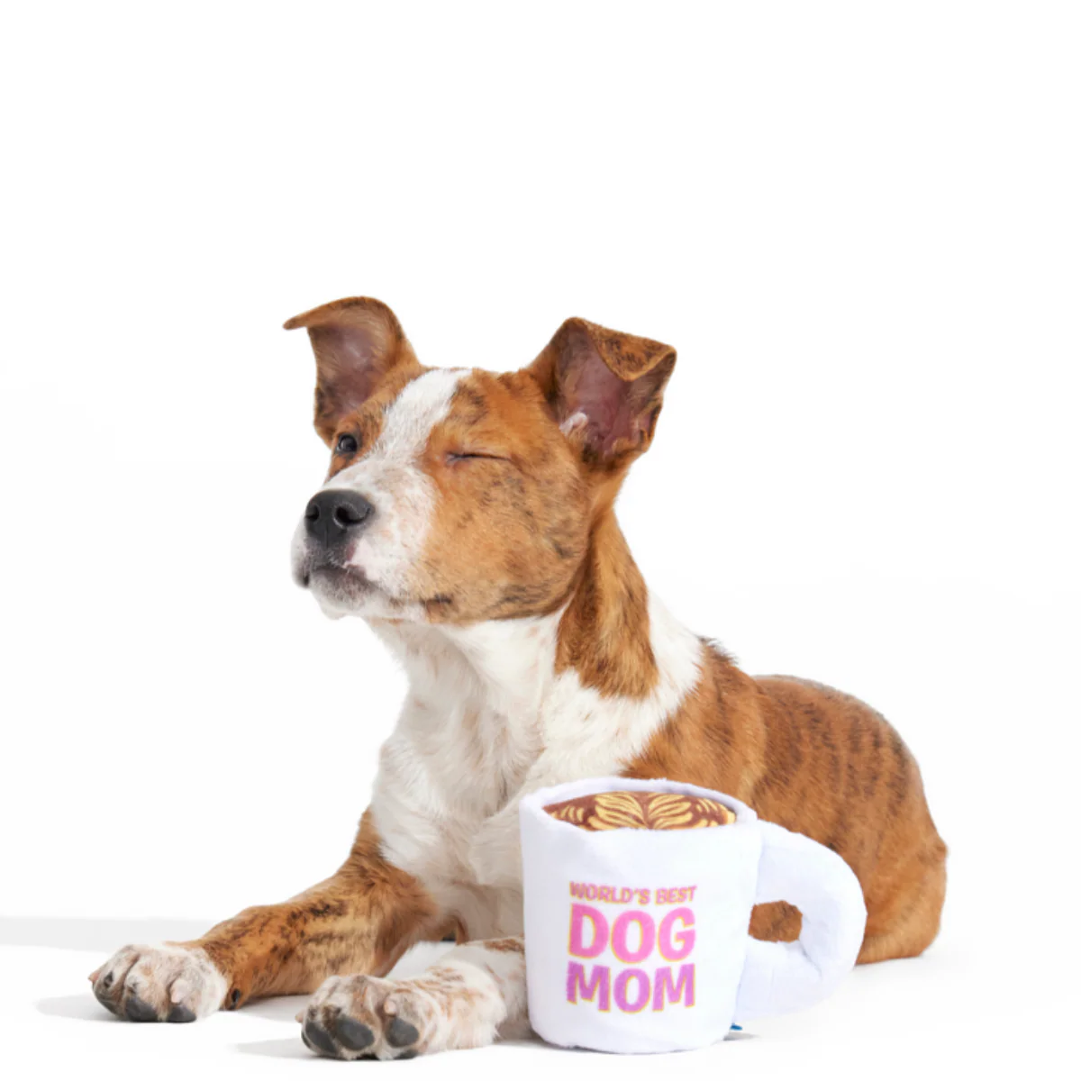World's Best Dog Mom Mug Plush Tug Dog Toy - Image 3