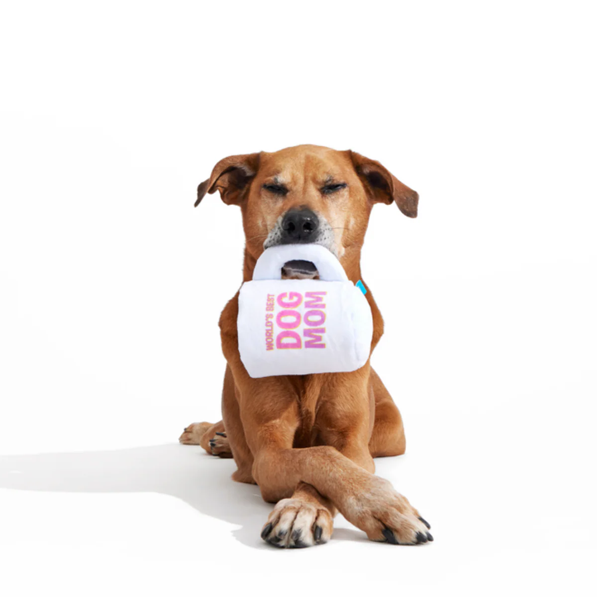 World's Best Dog Mom Mug Plush Tug Dog Toy - Image 4