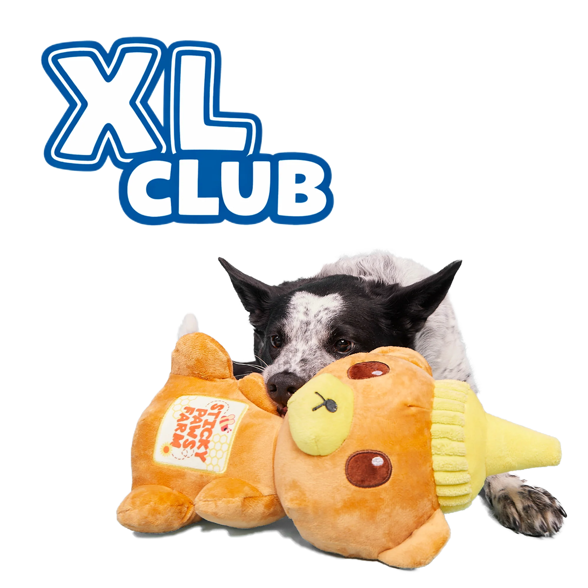 Extra-Large Toy Club, Monthly Plush XL Dog Toys