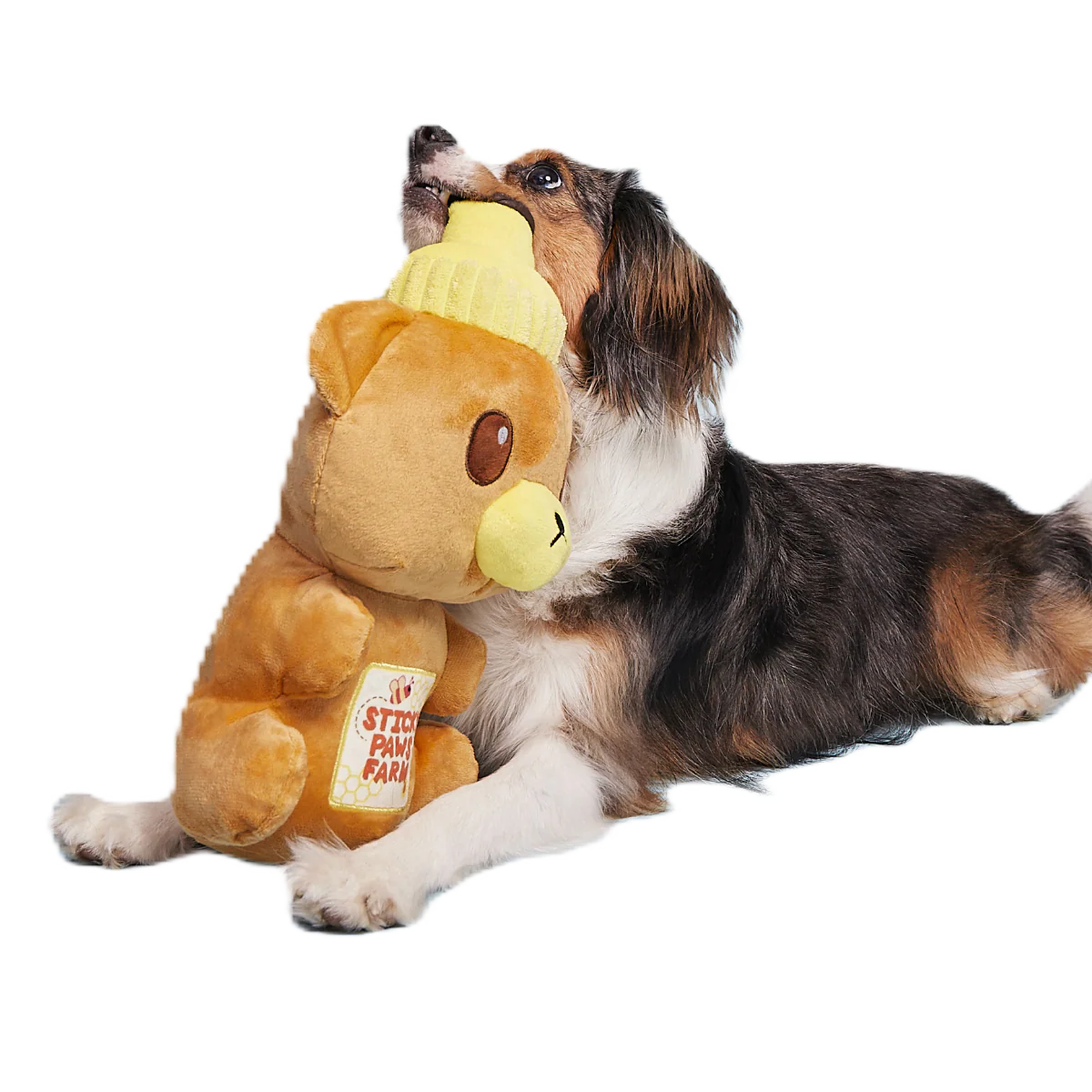 Extra-Large Toy Club, Monthly Plush XL Dog Toys - Image 2