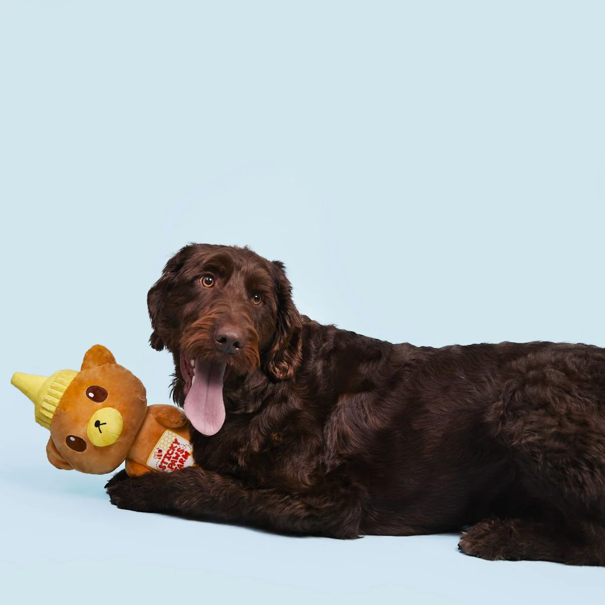Extra-Large Toy Club, Monthly Plush XL Dog Toys - Image 3