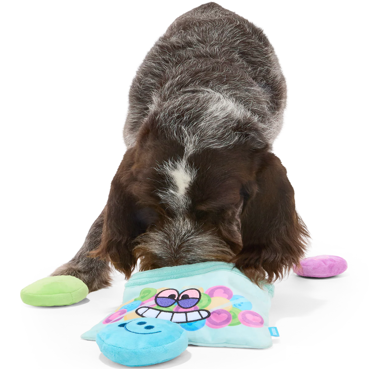 Yappy Pills Plush Multi-Part + Enrichment Dog Toy - Image 2