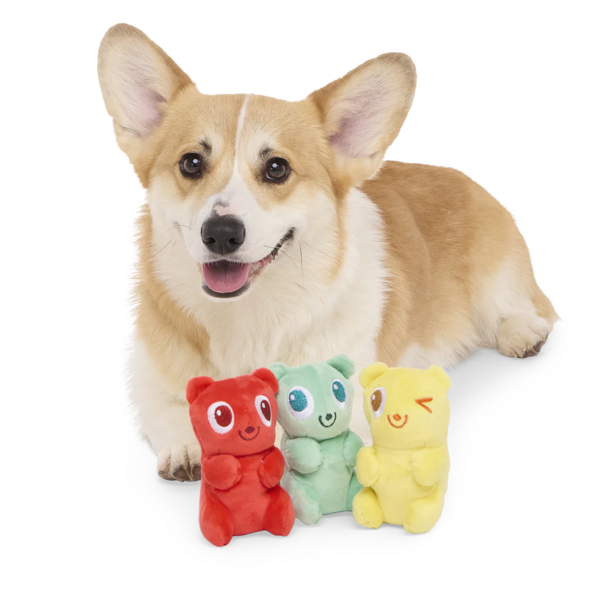 Yummy Bear Buddies Plush Multi-Part Dog Toy - Image 2