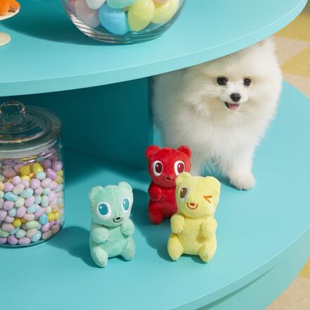 Yummy Bear Buddies Plush Multi-Part Dog Toy - Image 3