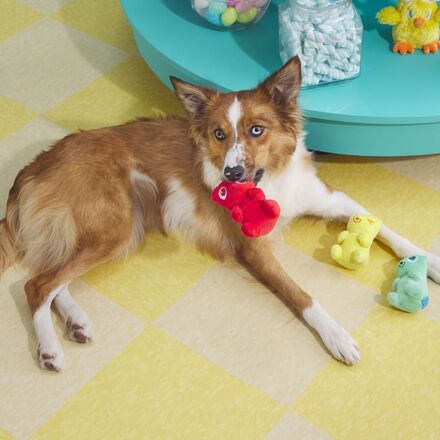 Yummy Bear Buddies Plush Multi-Part Dog Toy - Image 4