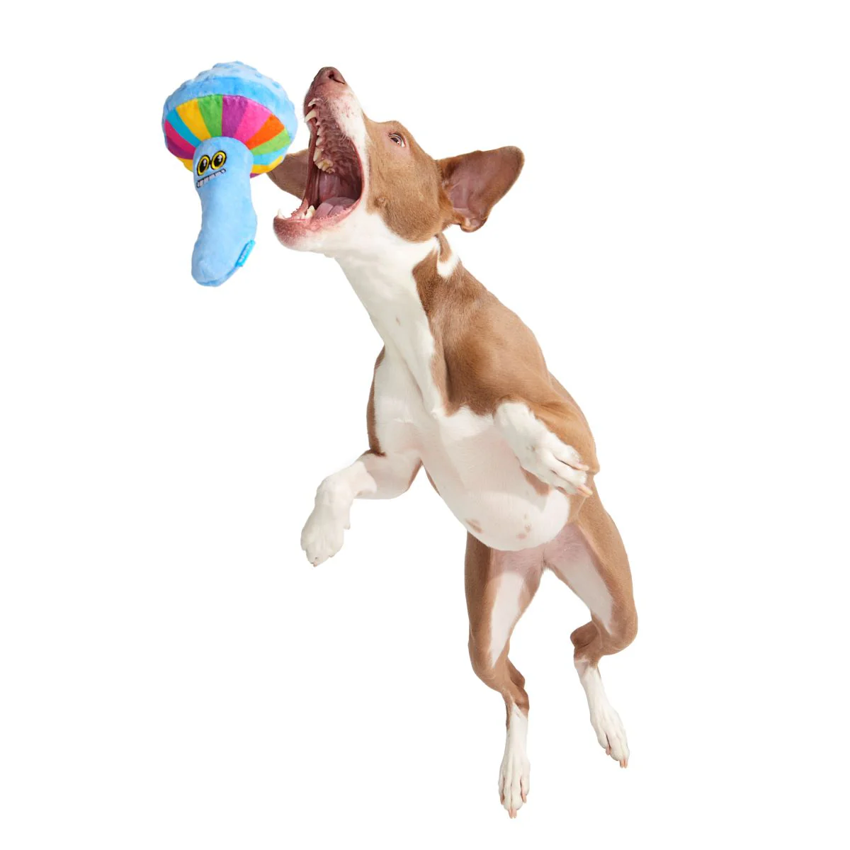 Zoomie Shroomie Plush Tug Dog Toy - Image 3